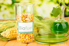 Salen biofuel availability
