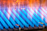 Salen gas fired boilers